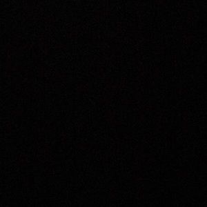 Meet your Posher, Darion